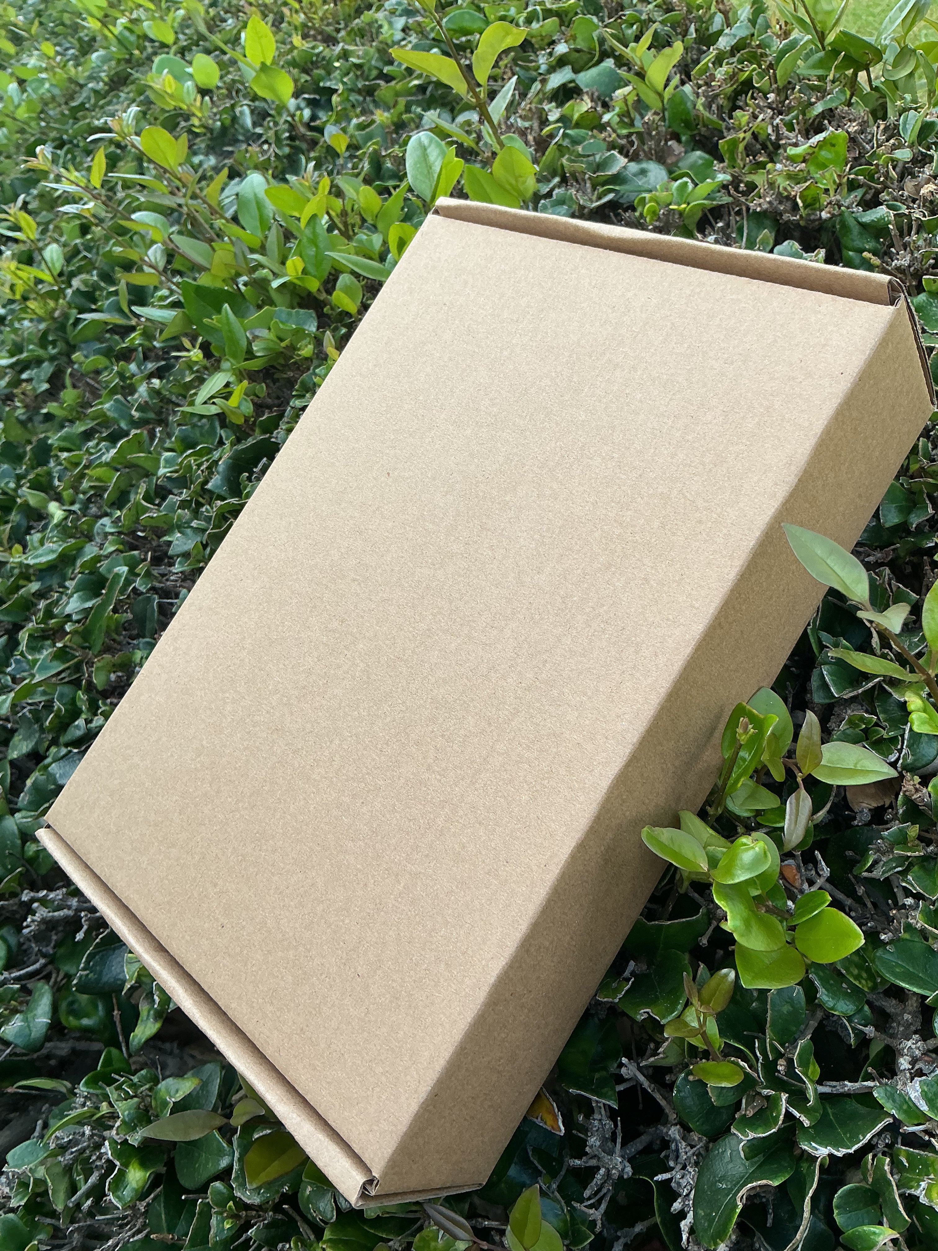 Mystery box